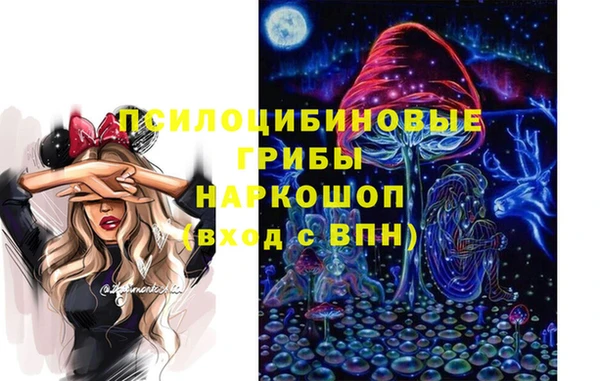 дживик Армянск