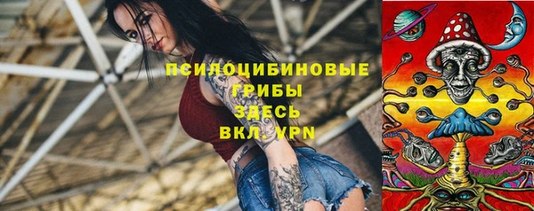 индика Аркадак