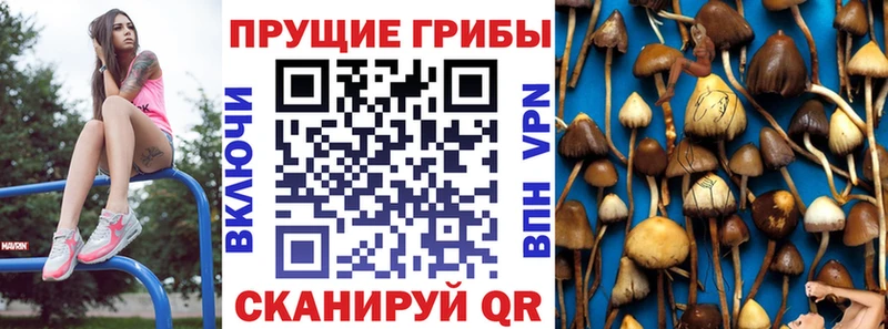 мориарти официальный сайт  Радужный  Псилоцибиновые грибы Magic Shrooms 